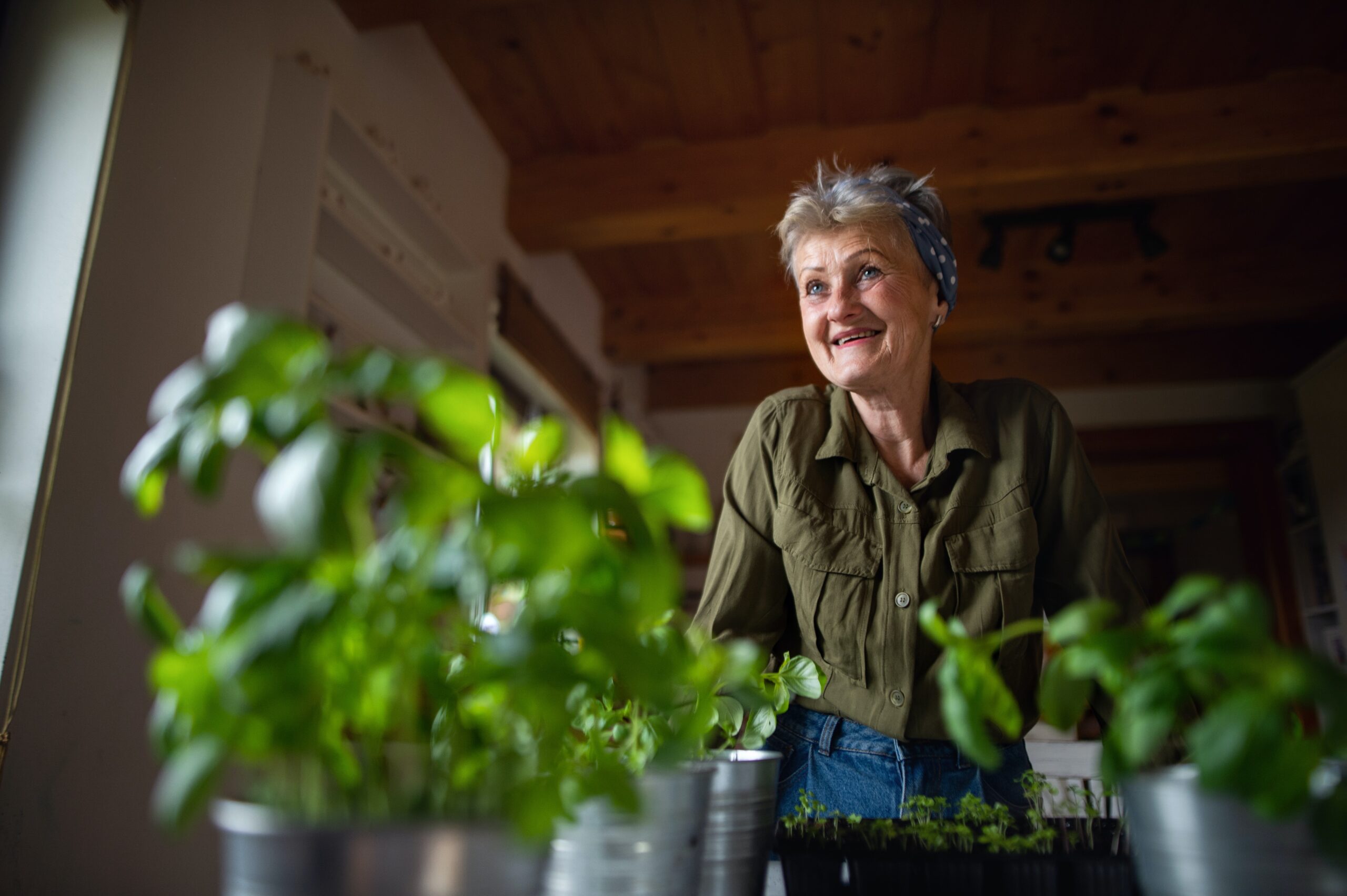 Gardening in your backyard