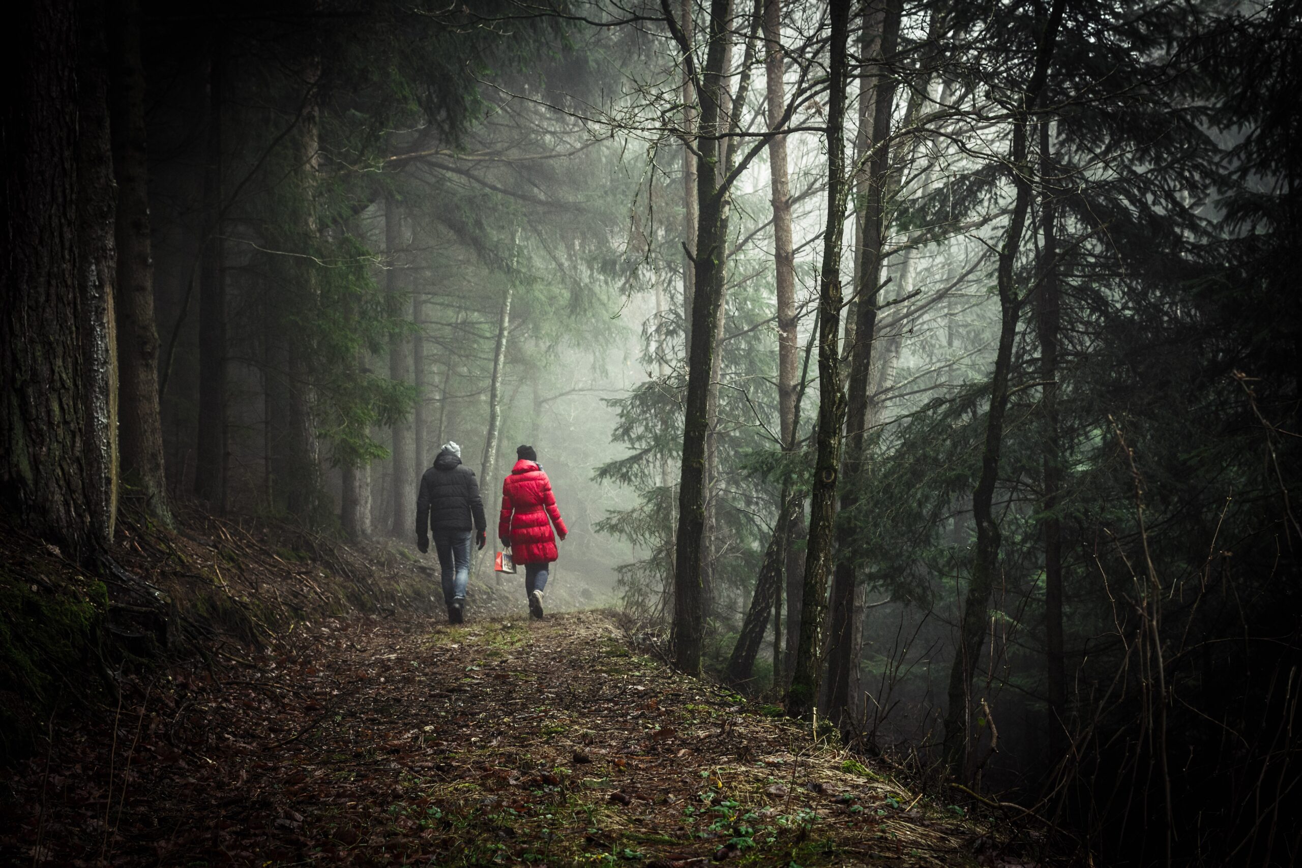 Walking in the woods